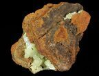 Gemmy, Yellow-Green Adamite Crystals - Durango, Mexico #65296-1
